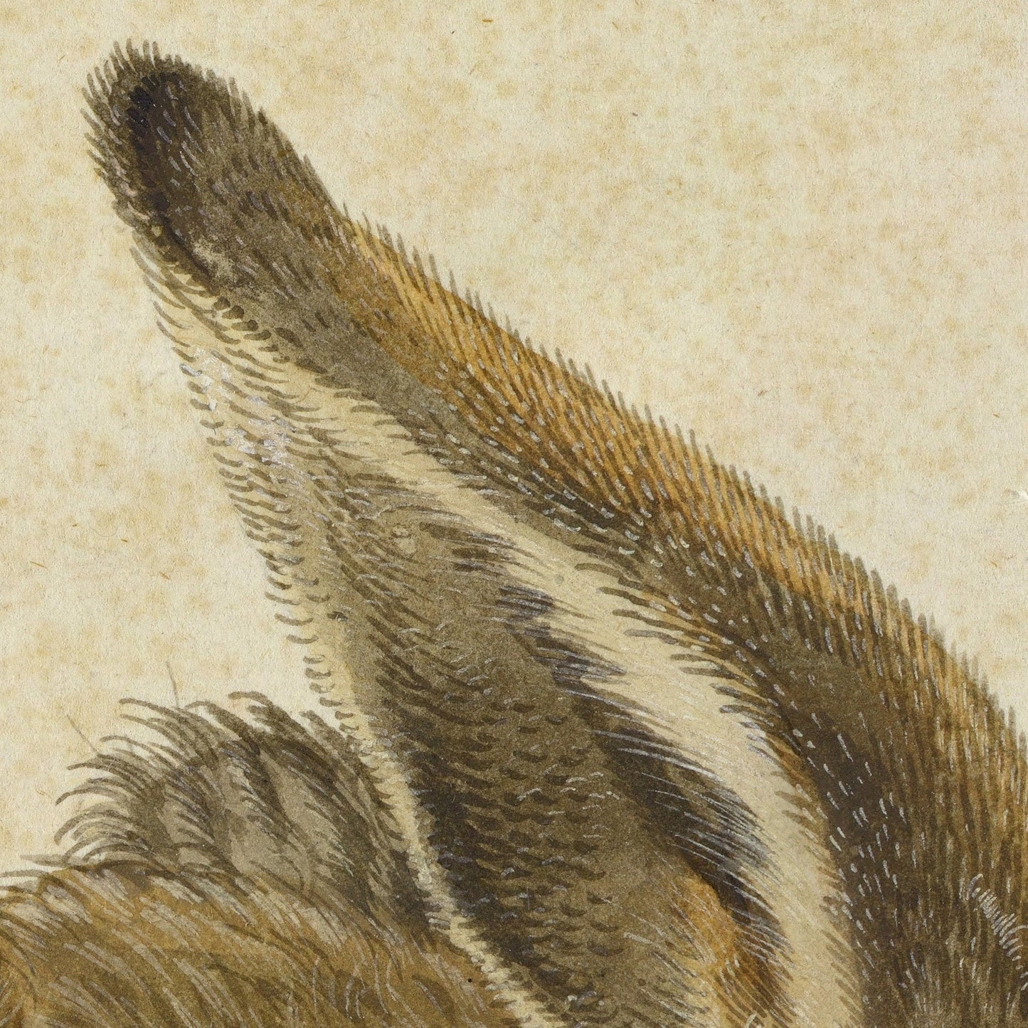 Young Hare by Albrecht Dürer, 3d Printed with texture and brush strokes looks like original oil painting