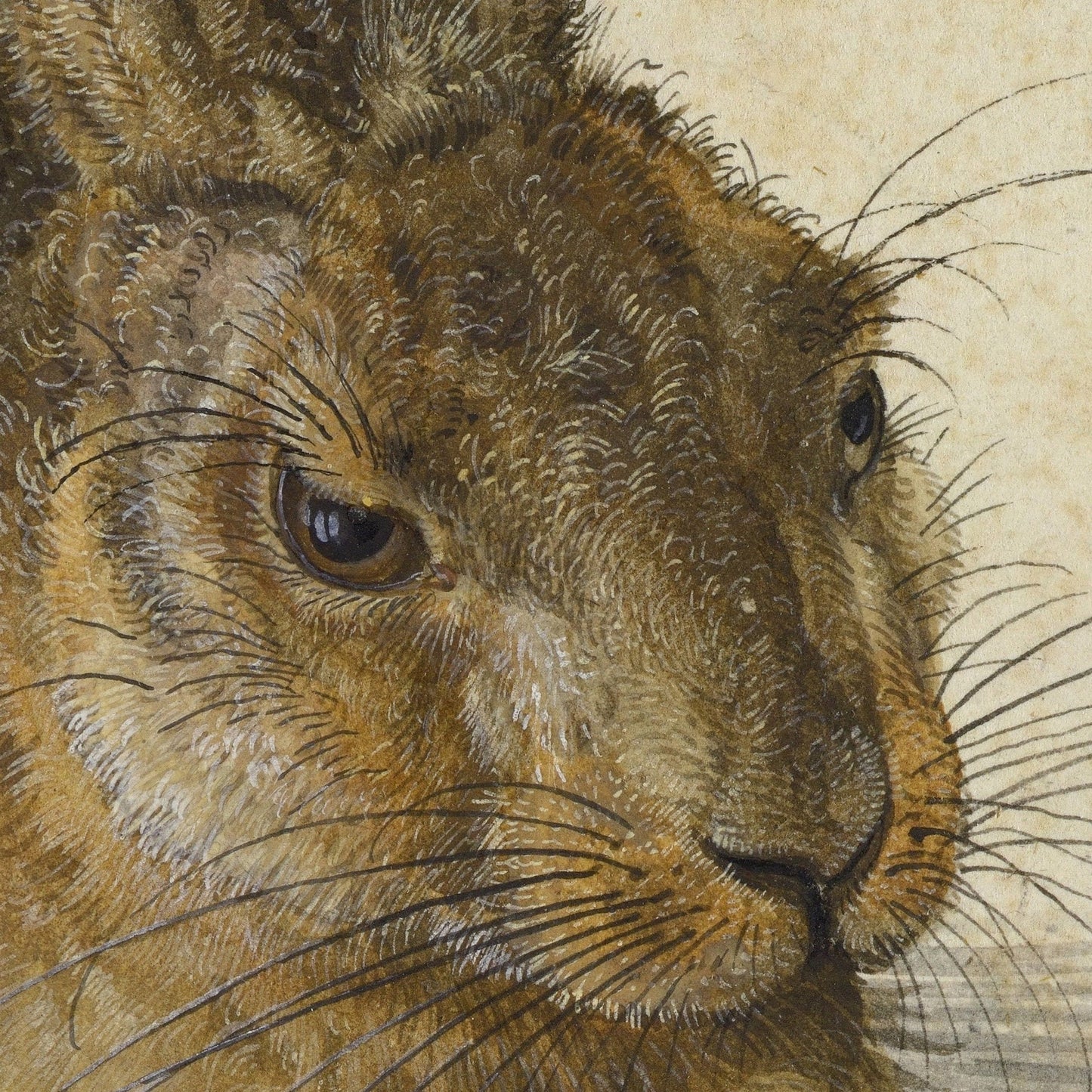 Young Hare by Albrecht Dürer, 3d Printed with texture and brush strokes looks like original oil painting