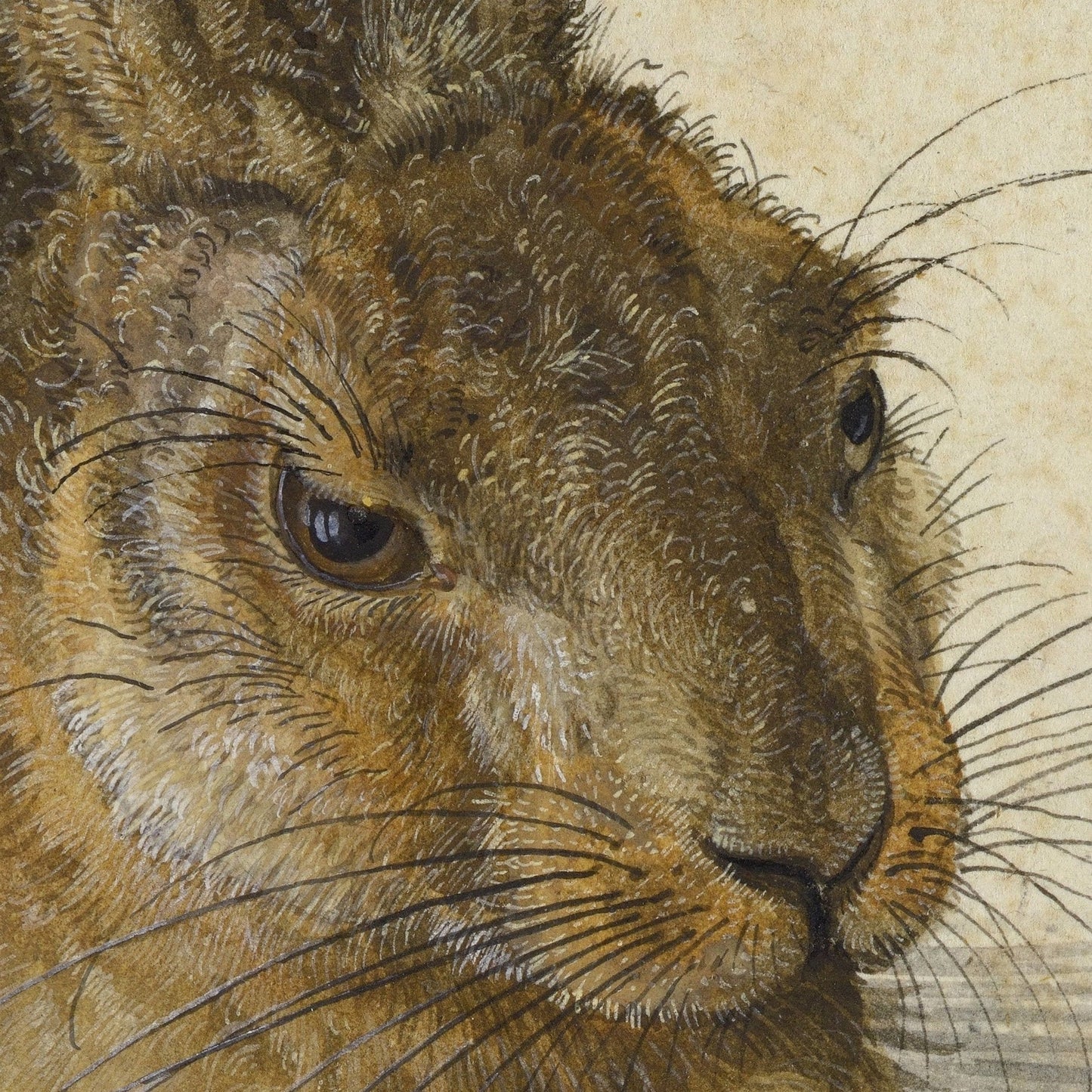 Albrecht Dürer Young Hare 3D Print: Textured Brushstrokes