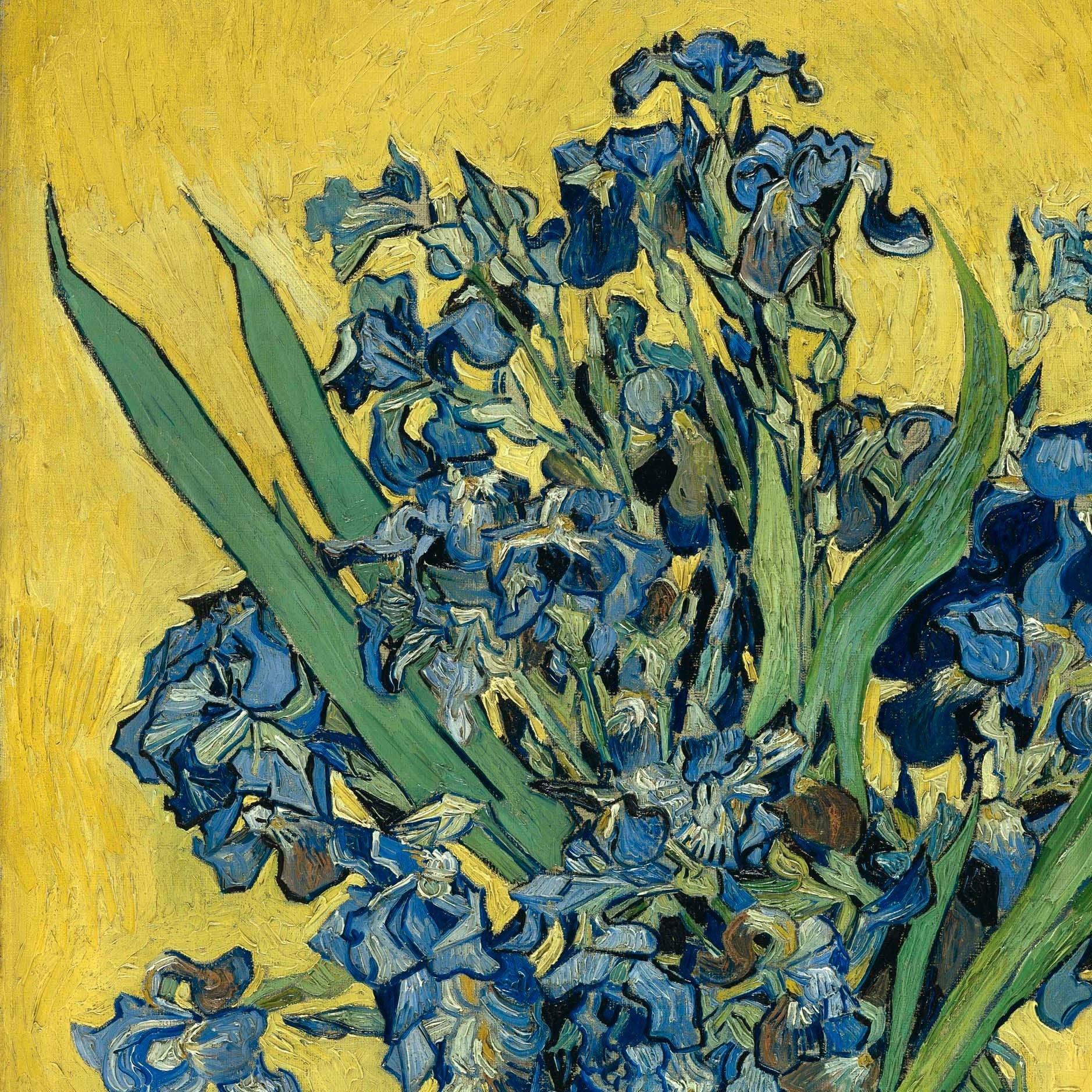 Van Gogh Irises 3D Print: Textured Brushstrokes, Oil Painting Effect