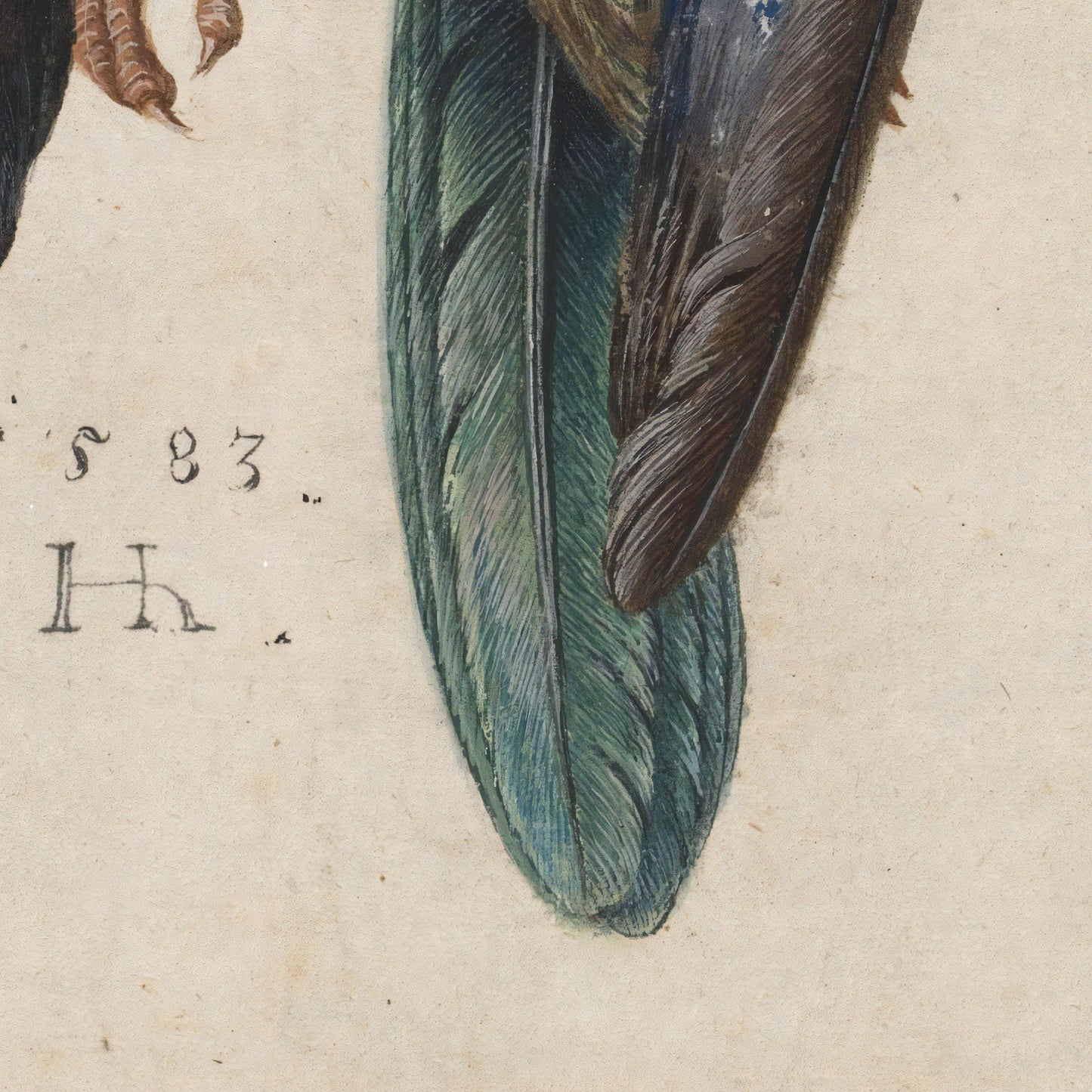 Albrecht Dürer Dead Blue Roller, 3D Textured Print