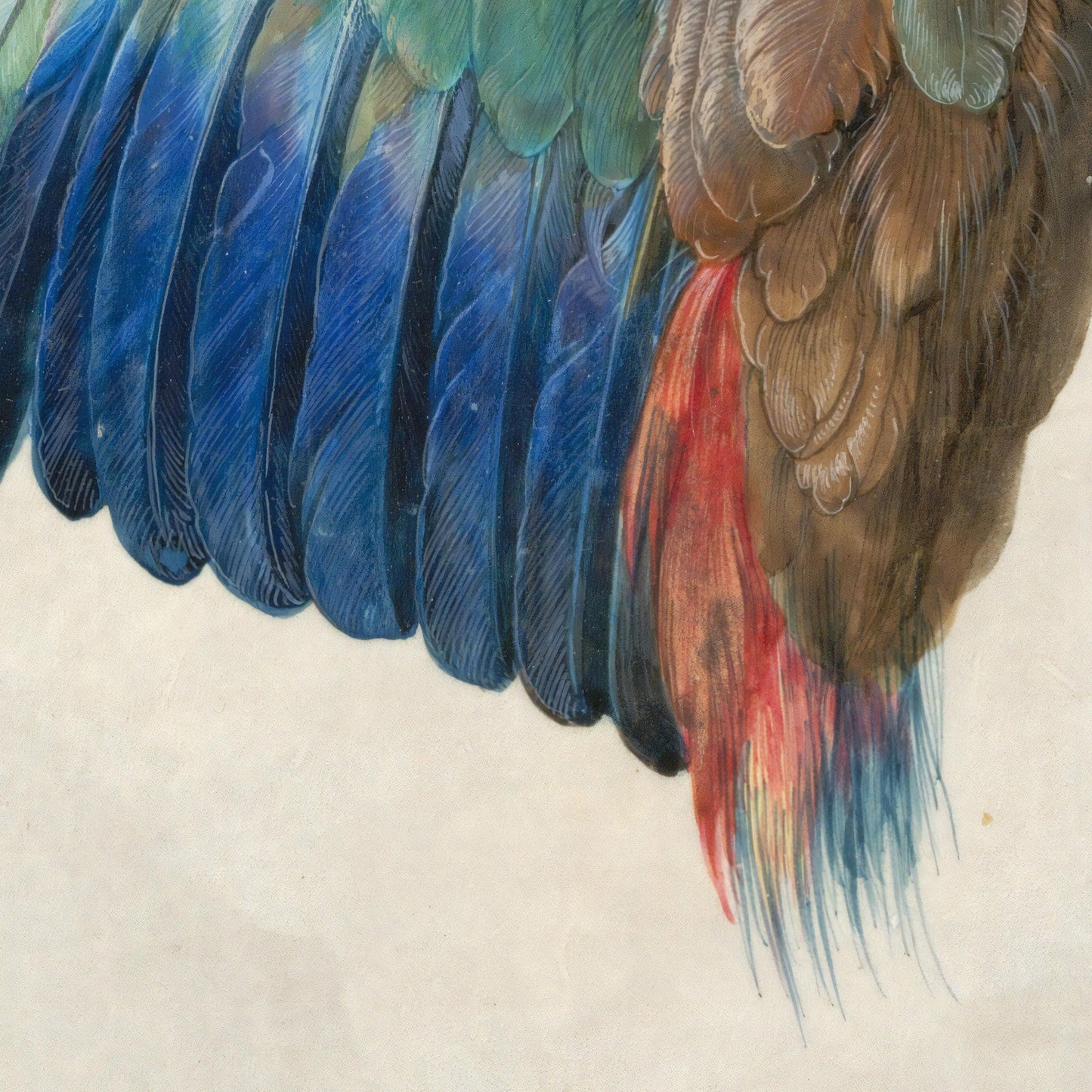 Dead Blue Roller by Albrecht Dürer, 3d Printed with texture and brush strokes looks like original oil painting