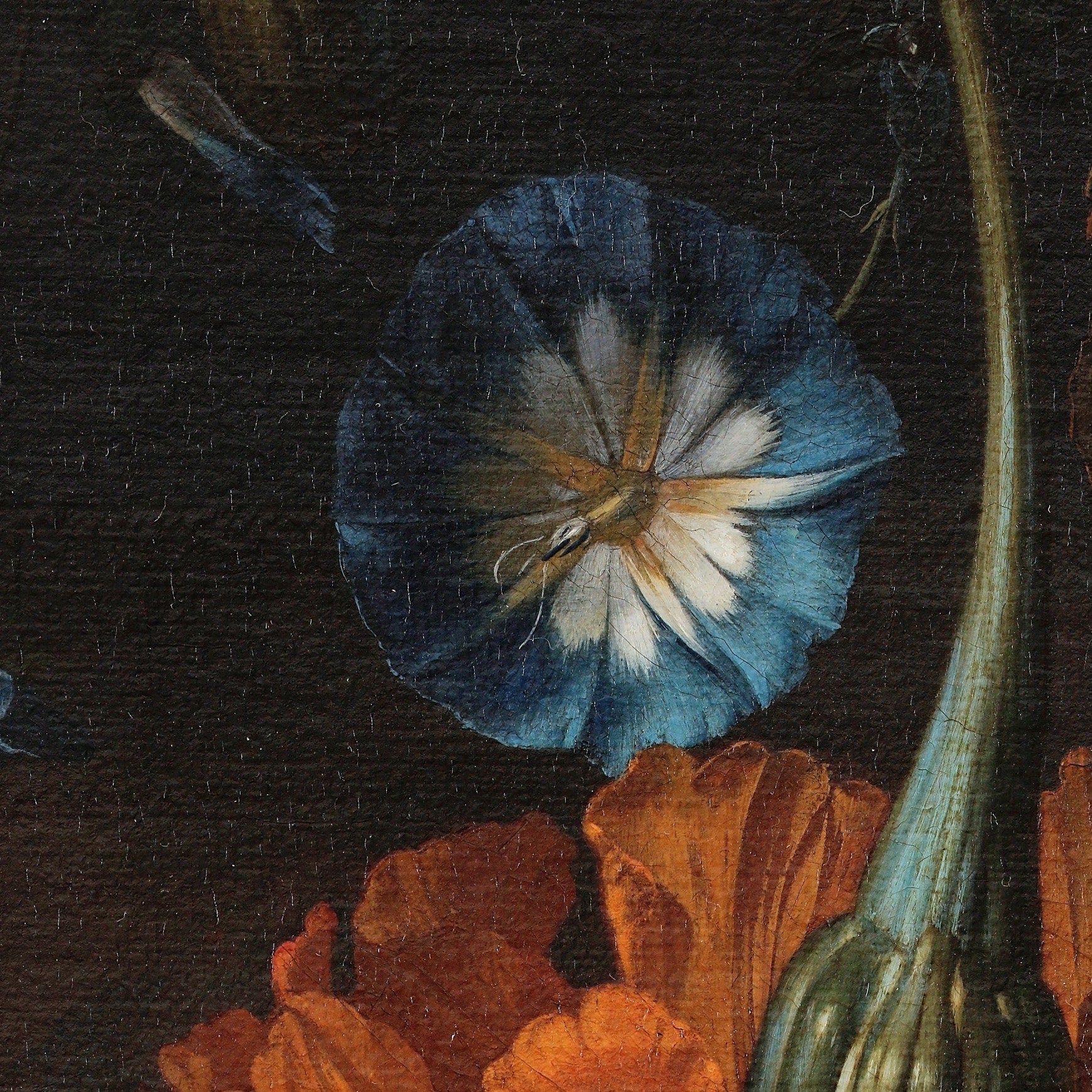 Rachel Ruysch Flower Still Life: Textured 3D Print