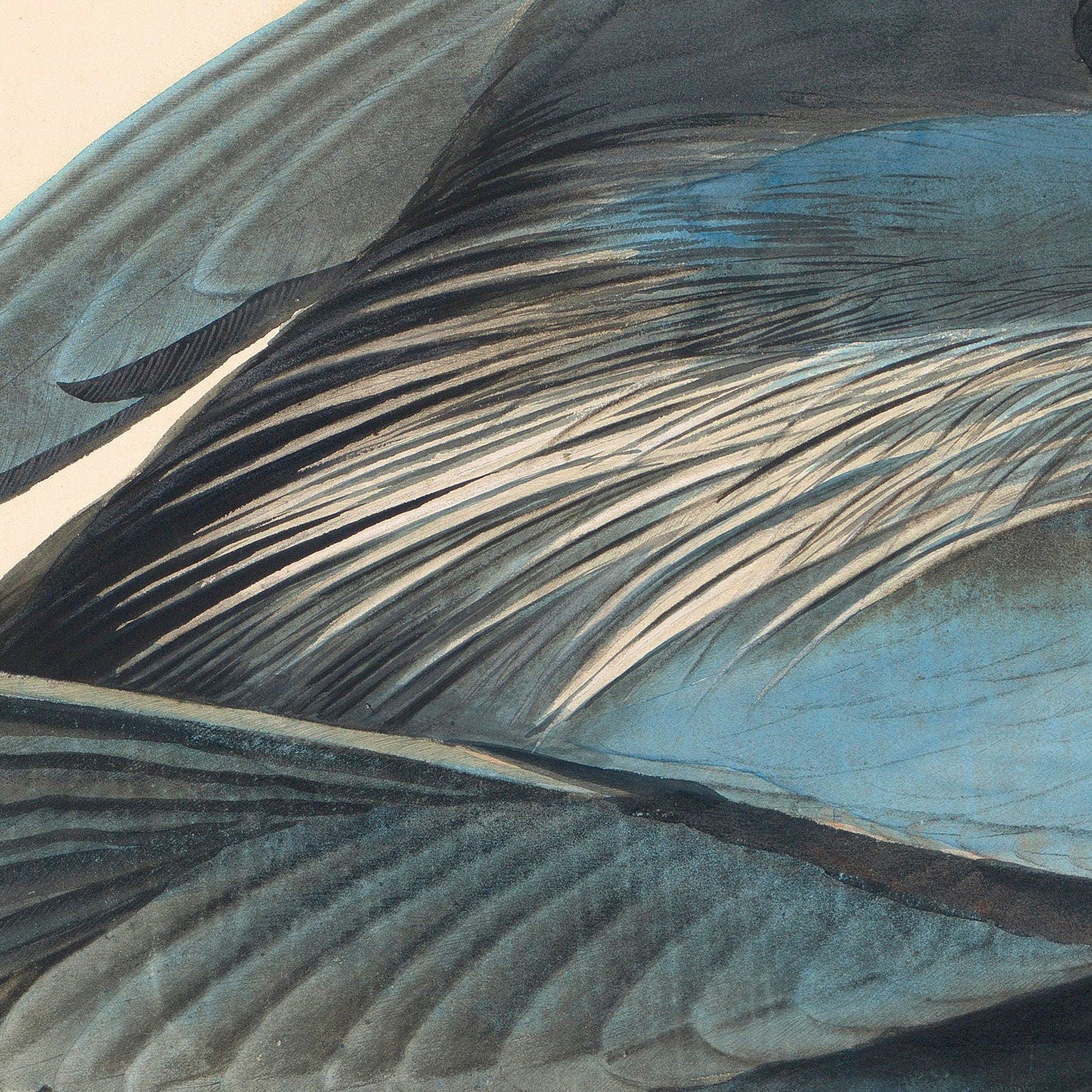 Great Blue Heron by John James Audubon, 3d Printed with texture and brush strokes looks like original oil painting