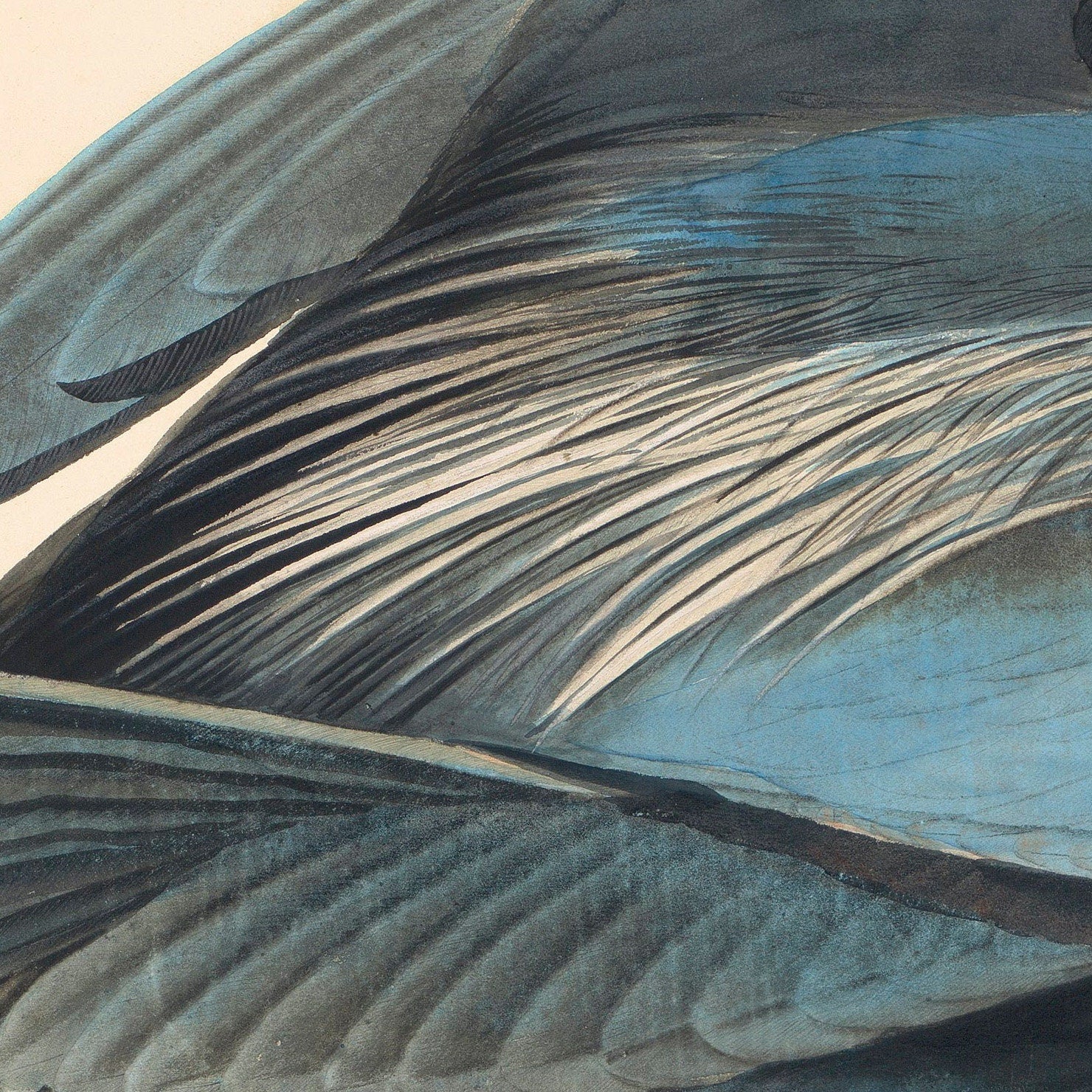 Great Blue Heron 3D Print, John James Audubon Textured Art