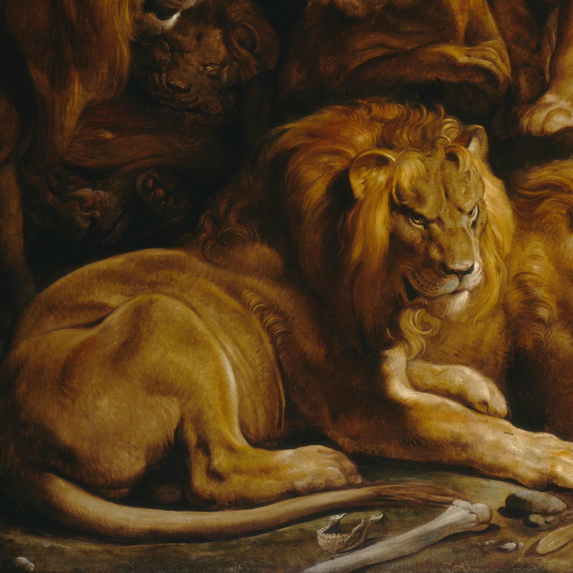 Daniels in the Lion Den's Print: Rubens 3D Textured Masterpiece