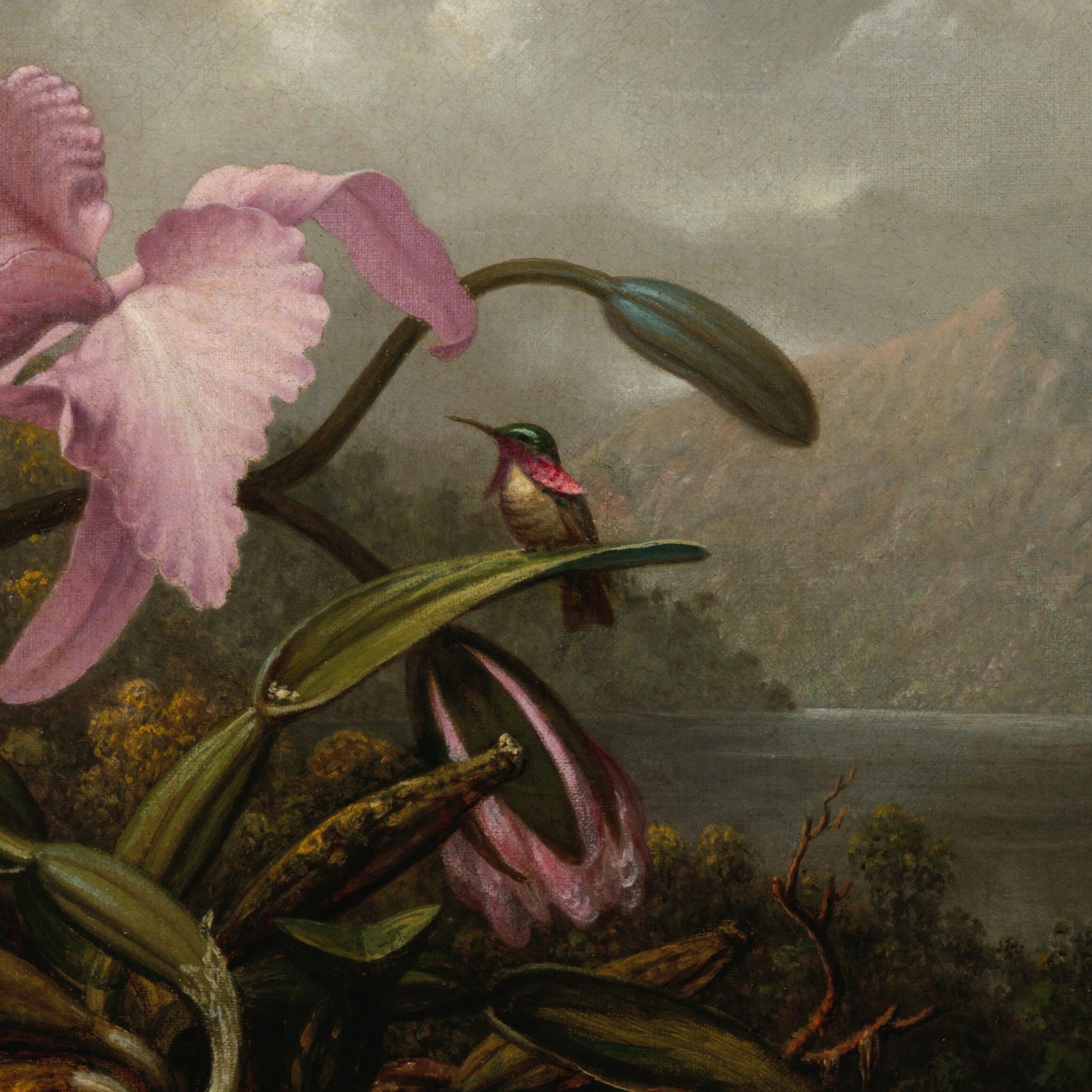 Orchid and Hummingbird by Martin Johnson Heade, 3d Printed with texture and brush strokes looks like original oil painting