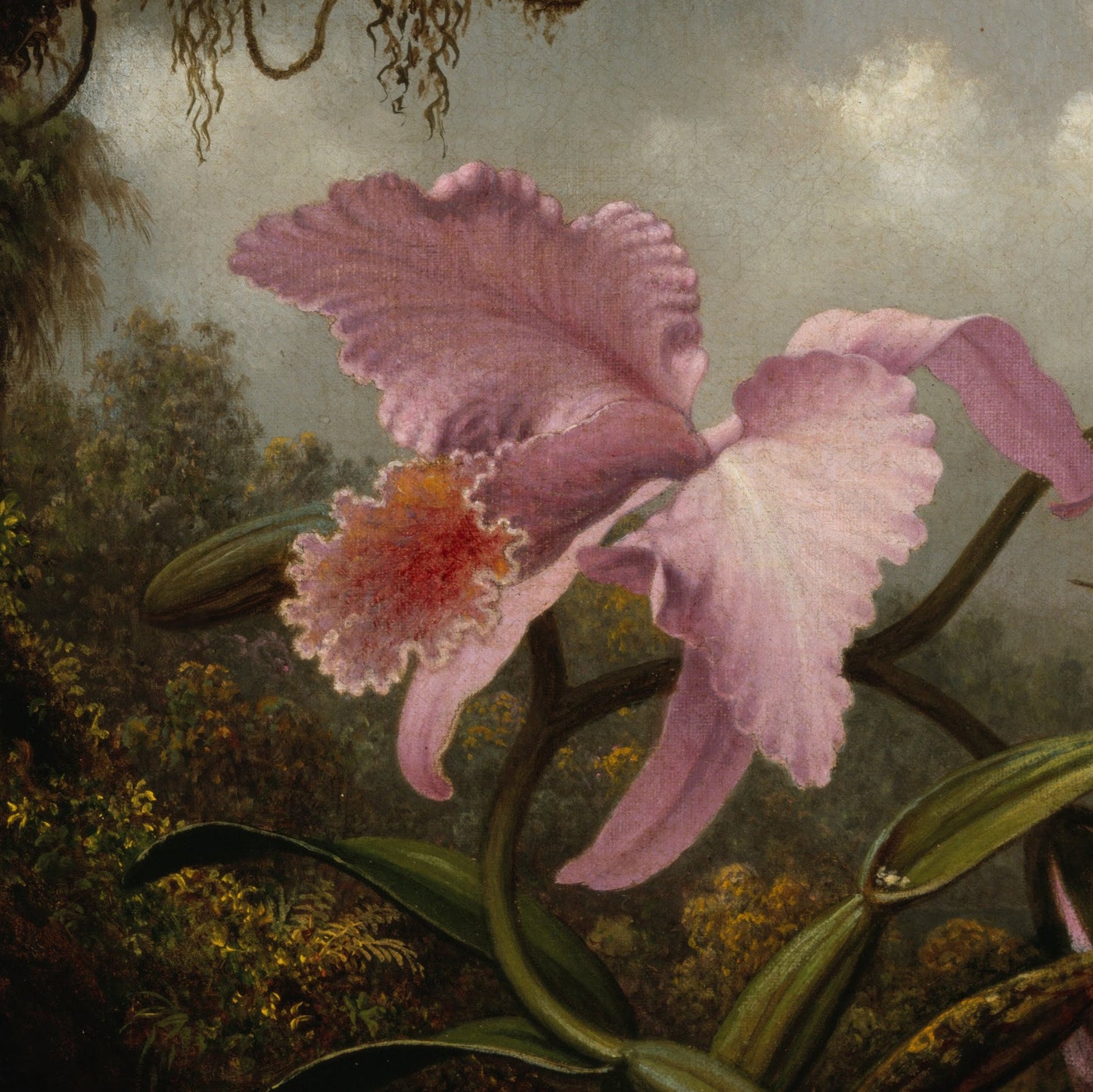 Orchid and Hummingbird 3D Print by Martin Johnson Heade