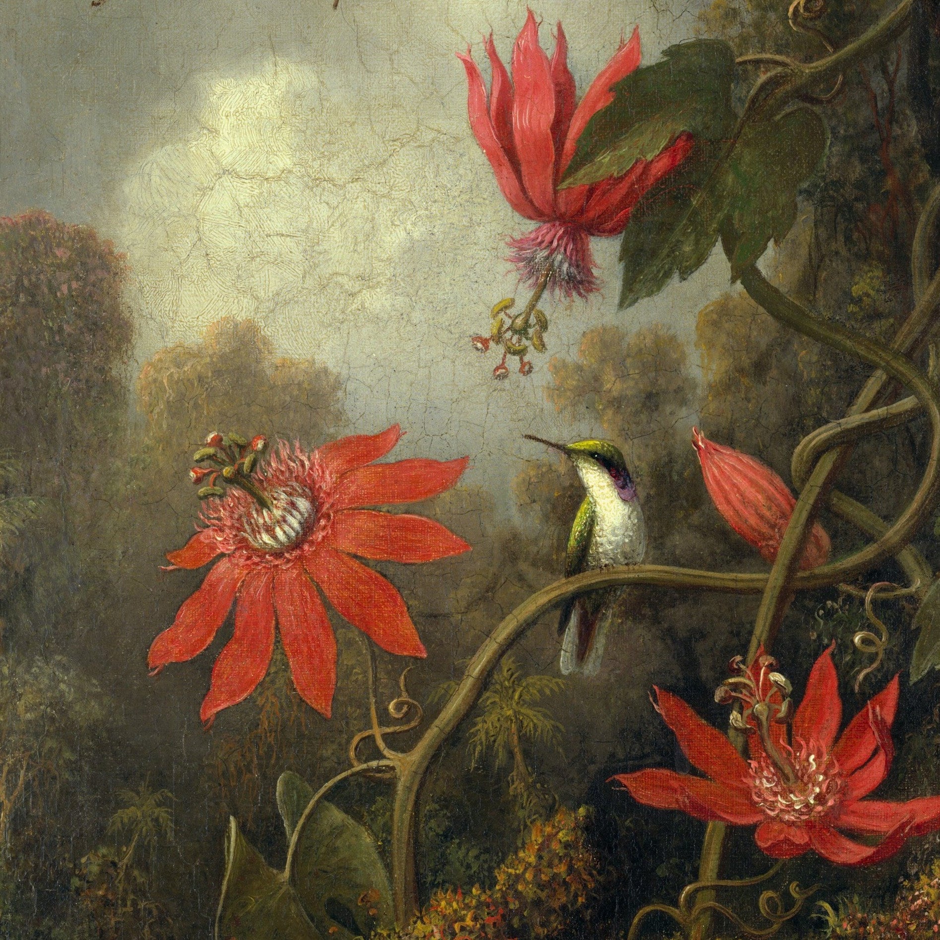 Hummingbird and Passionflowers by Martin Johnson Heade, 3d Printed with texture and brush strokes looks like original oil painting