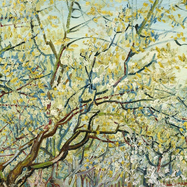 Van Gogh 'White Orchard' 3D Textured Print: Impasto Style