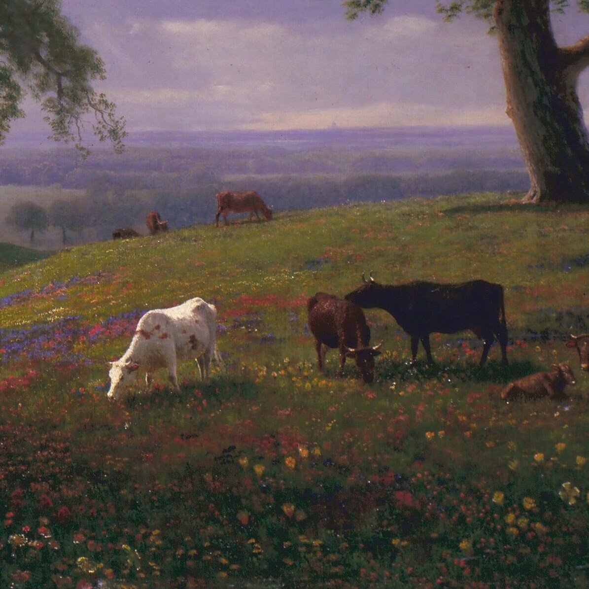 Albert Bierstadt California Spring 3D Print: Textured Oil Painting Reproduction