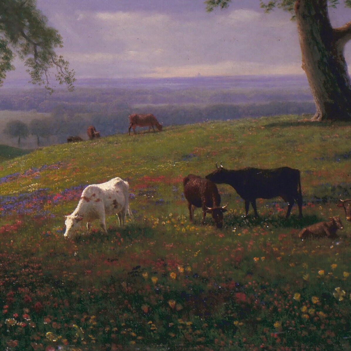 California Spring by Albert Bierstadt, 3d Printed with texture and brush strokes looks like original oil painting.