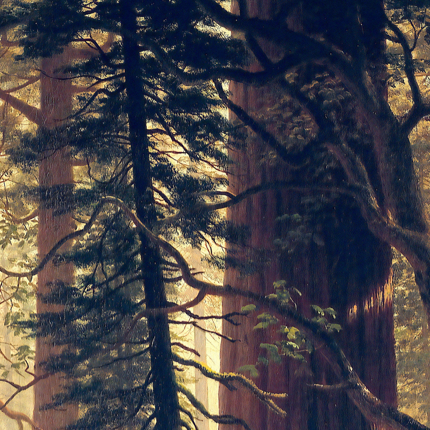 Albert Bierstadt Redwood Trees Print: Textured 3D Reproduction