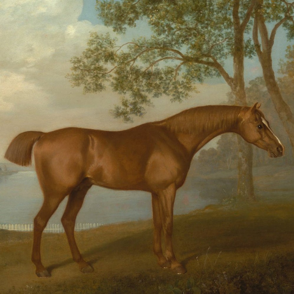 George Stubbs Horse Painting: 3D Textured Print