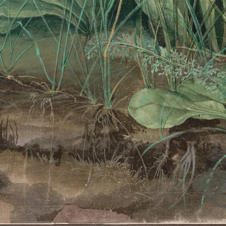 Albrecht Dürer 'Large Piece of Turf' 3D Textured Print