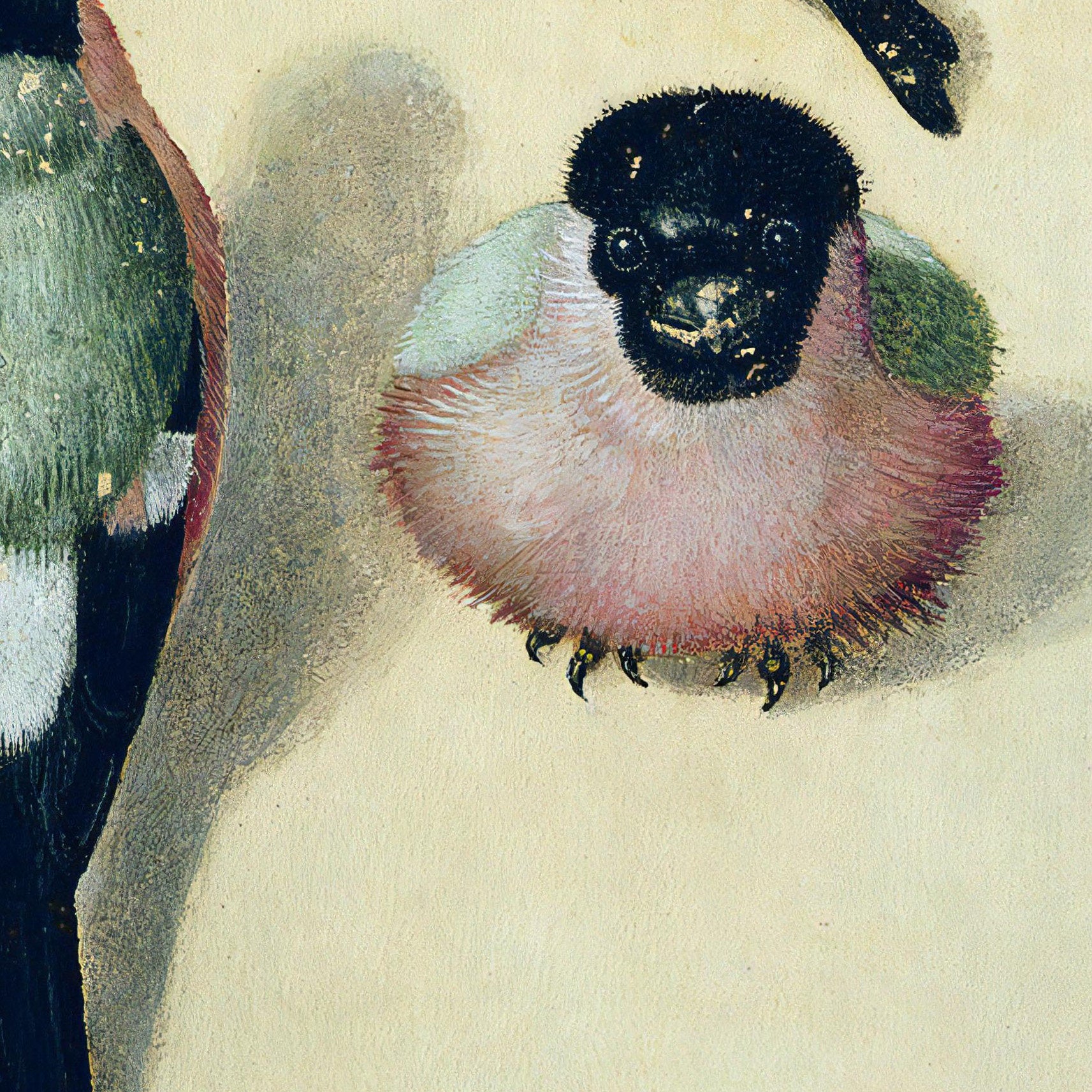 Dürer Bullfinch Print: Textured 3D Reproduction
