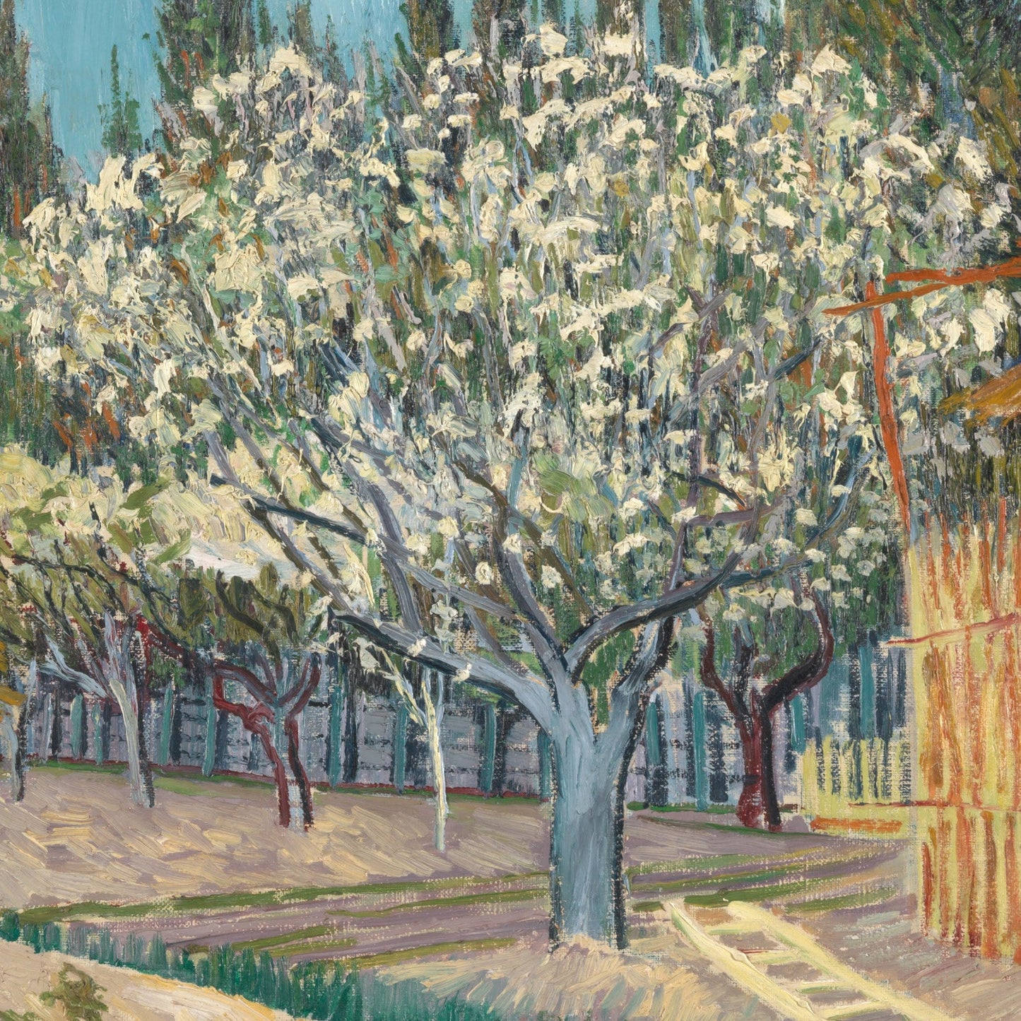 Van Gogh 'Orchard with Cypresses' 3D Textured Print