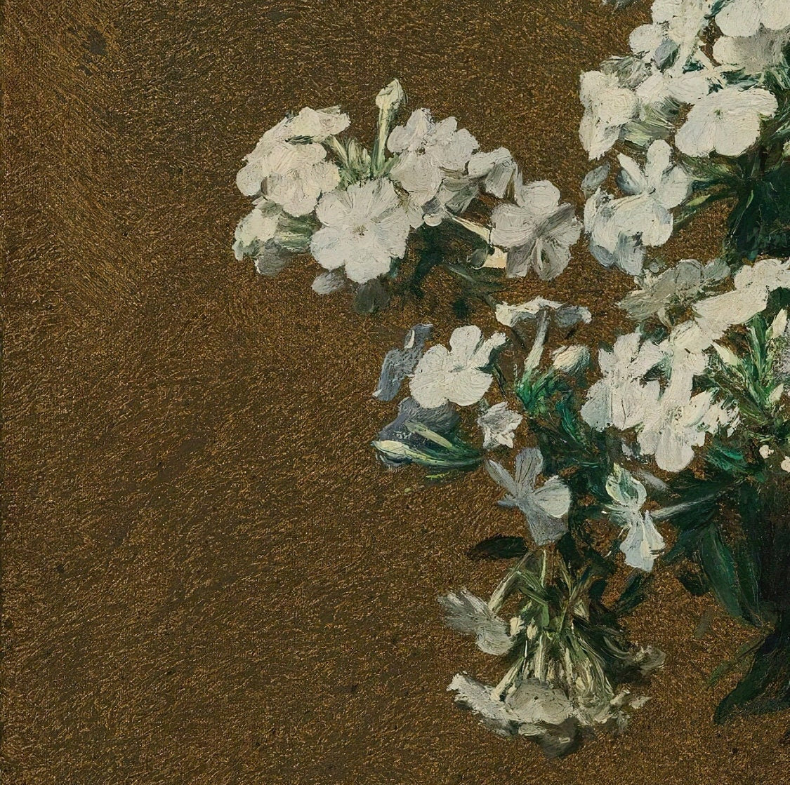 Phlox Blancs Dans Un Vase by Henri Fantin Latour, 3d Printed with texture and brush strokes looks like original oil painting