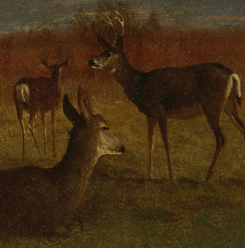 Albert Bierstadt Deer Painting: 3D Textured Mountain Home Art
