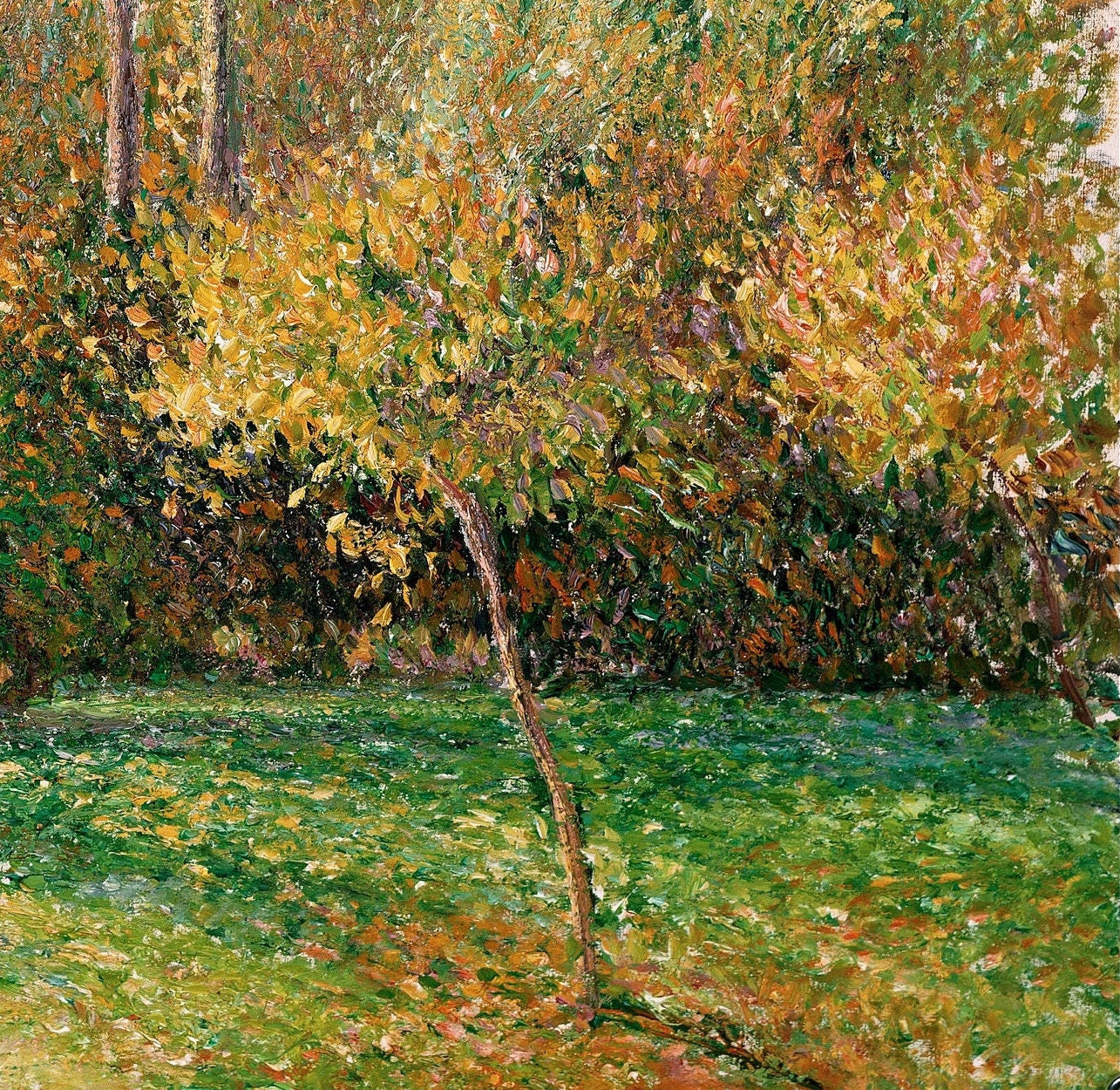 Camille Pissarro - Automne, Peupliers, Eragny - 3D Textured Print