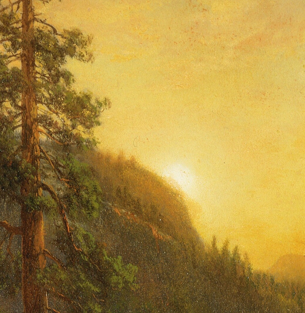 Albert Bierstadt California Redwoods 3D Textured Print