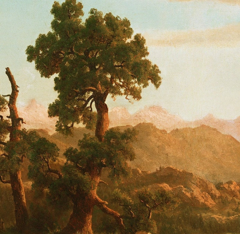 Albert Bierstadt Wind River Country 3D Print: Textured Landscape Art