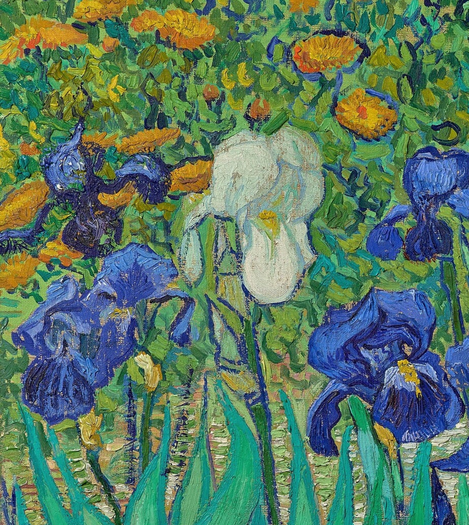 Irises by Van Gogh, 3d Printed with texture and brush strokes looks like original oil painting.