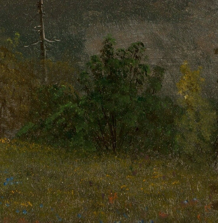Yosemite Valley by Bierstadt: 3D Textured Print