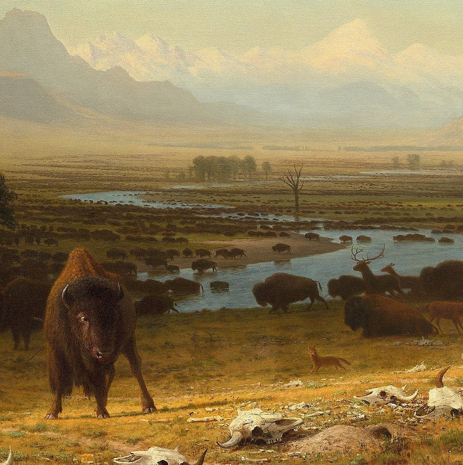 Albert Bierstadt Buffalo Landscape: Textured 3D Print