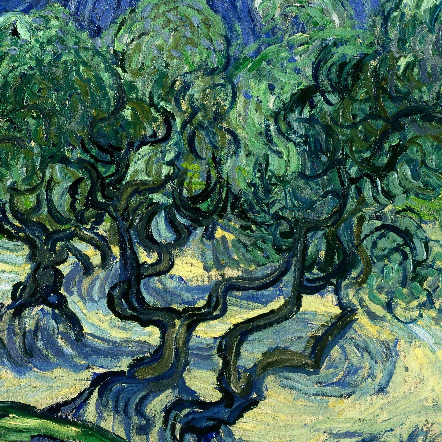 Van Gogh Olive Trees Print: 3D Textured Oil Painting Reproduction