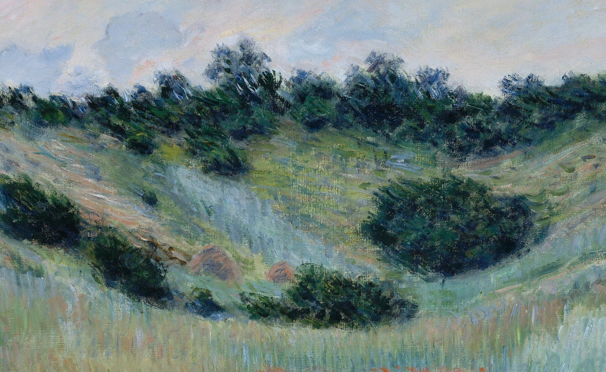Monet Poppy Field 3D Print: Textured Impressionist Art
