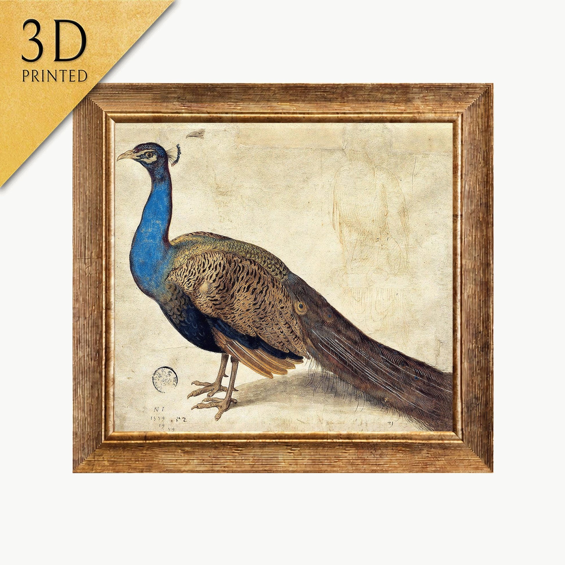 Nicolaus Juvenel Peacock Print: 3D Textured Art