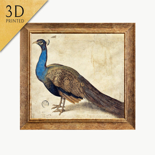 Nicolaus Juvenel Peacock Print: 3D Textured Art
