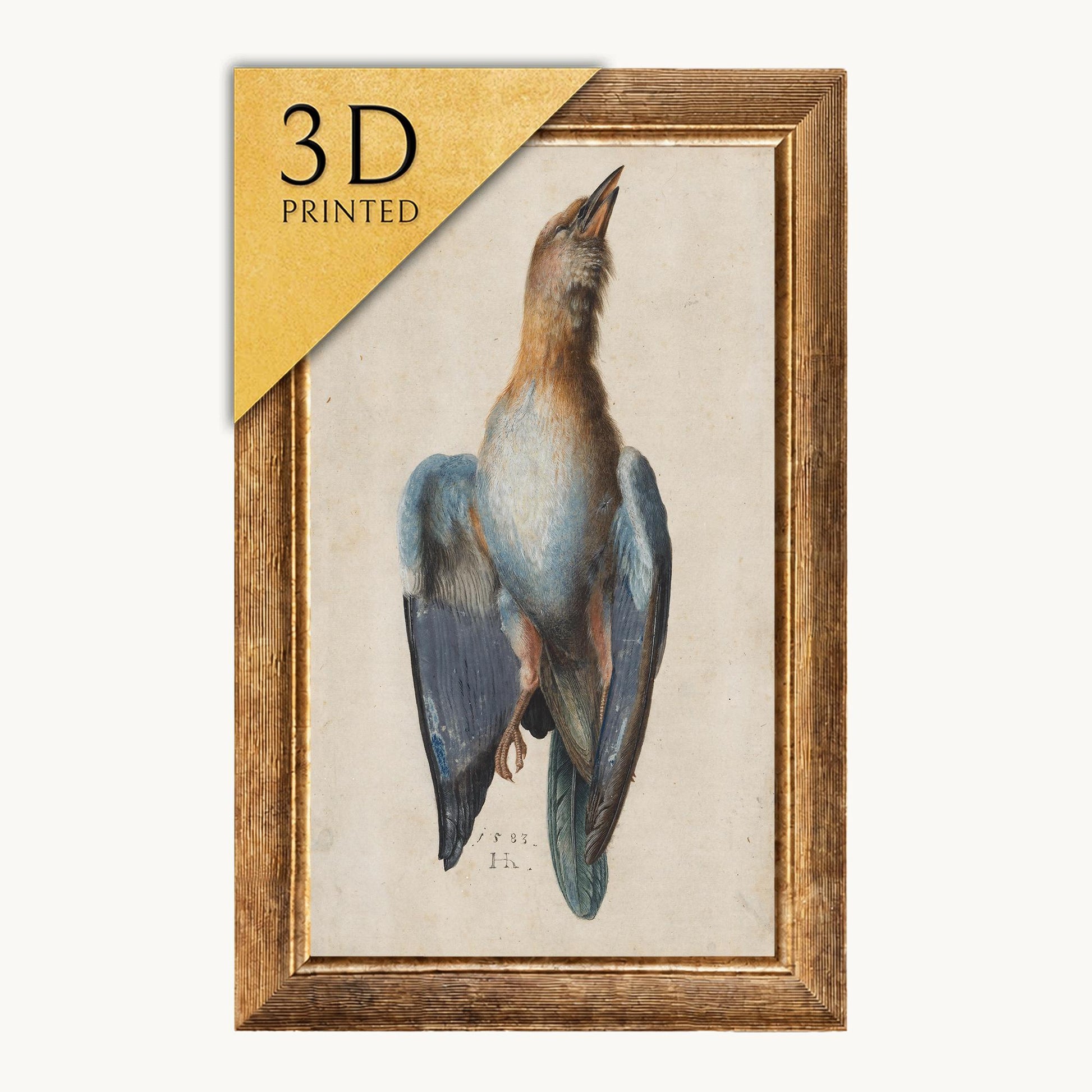 Albrecht Dürer Dead Blue Roller, 3D Textured Print