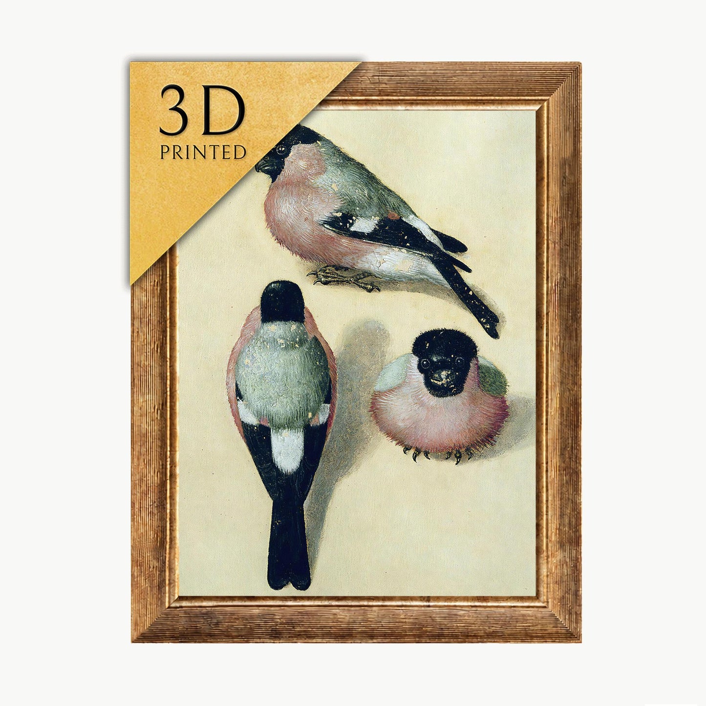 Dürer Bullfinch Print: Textured 3D Reproduction