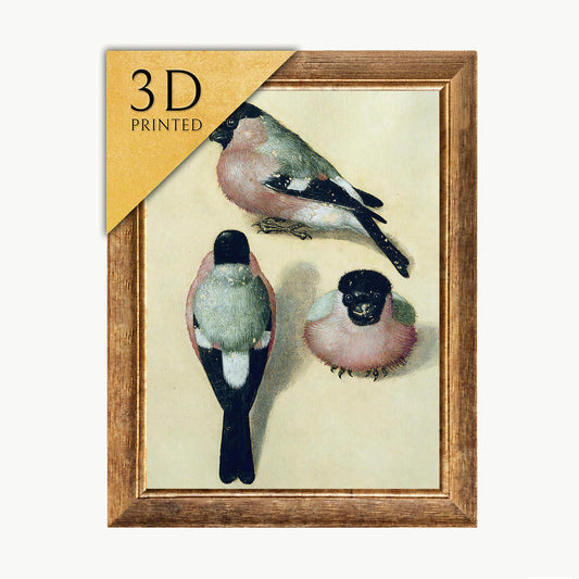 Dürer Bullfinch Print: Textured 3D Reproduction