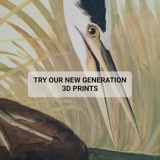 Great Blue Heron 3D Print, John James Audubon Textured Art