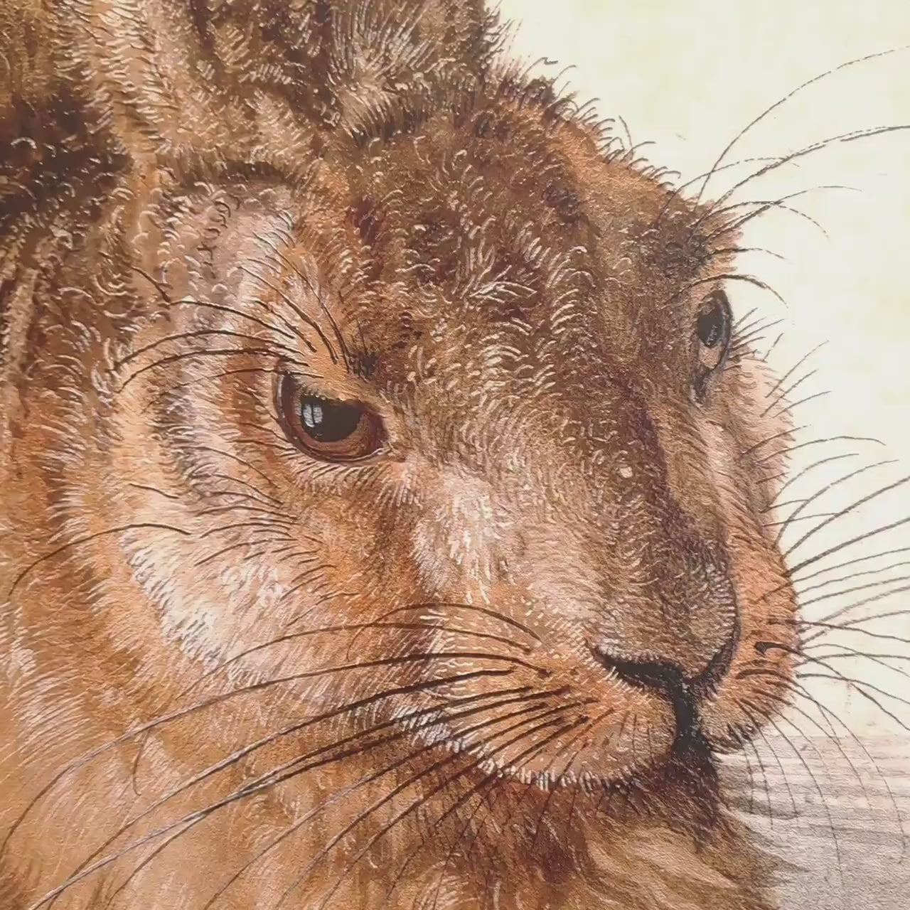 Young Hare by Albrecht Dürer, 3d Printed with texture and brush strokes looks like original oil-painting, code:003