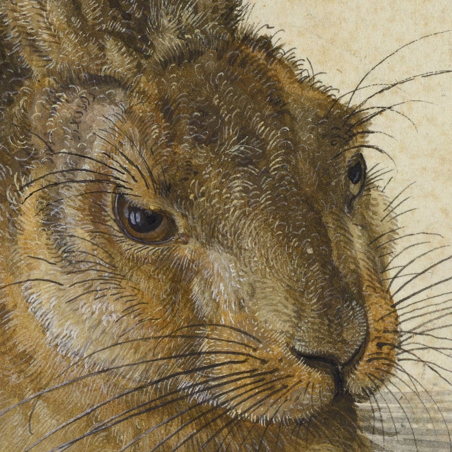Young Hare by Albrecht Dürer, 3d Printed with texture and brush strokes looks like original oil-painting, code:003